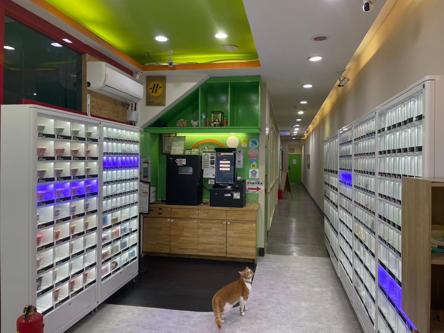 ז'ונגלי Clover House-自助式無人旅店 מראה חיצוני תמונה